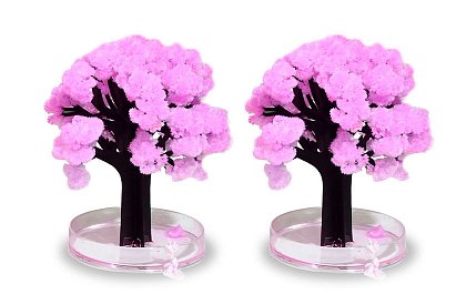 Varázslatos virágzó- Sakura fa