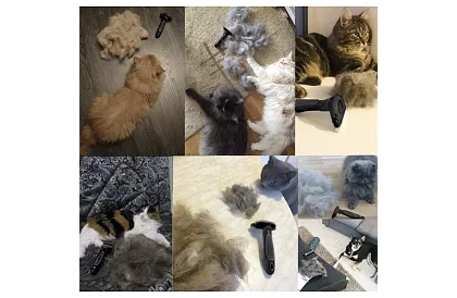 Fésű – furminátor