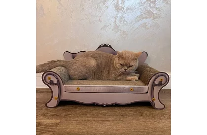 Kiscica kaparó - Purlov 24285 kanapé