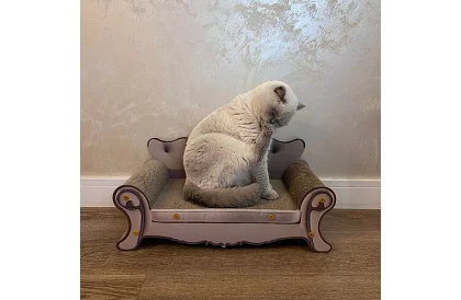 Kiscica kaparó - Purlov 24285 kanapé