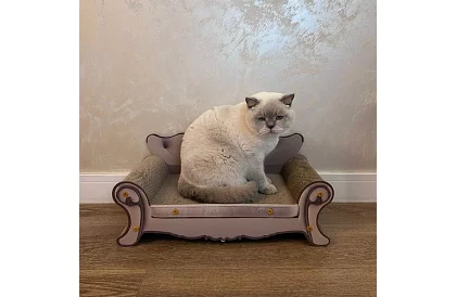 Kiscica kaparó - Purlov 24285 kanapé