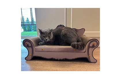 Kiscica kaparó - Purlov 24285 kanapé