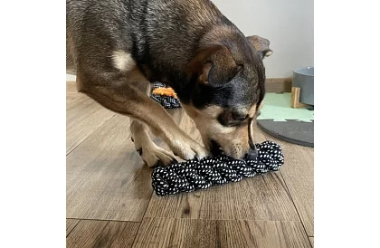 Nagy kutyajáték készlet - 10 db