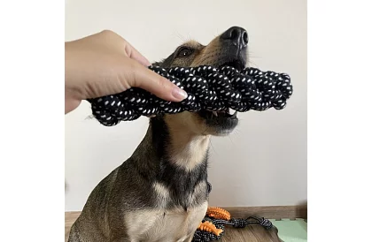 Nagy kutyajáték készlet - 10 db