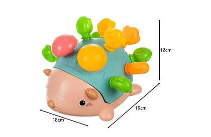 Oktatási érzékszervi sün