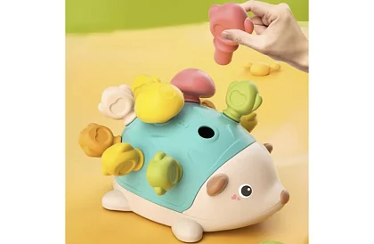 Oktatási érzékszervi sün