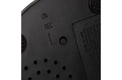 Felvételi beszélő gombok kutyáknak – kommunikációs tréning otthon