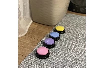 Felvételi beszélő gombok kutyáknak – kommunikációs tréning otthon