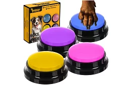 Felvételi beszélő gombok kutyáknak – kommunikációs tréning otthon