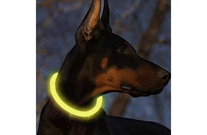 Világító LED nyakörv USB töltéssel és állítható hosszúsággal