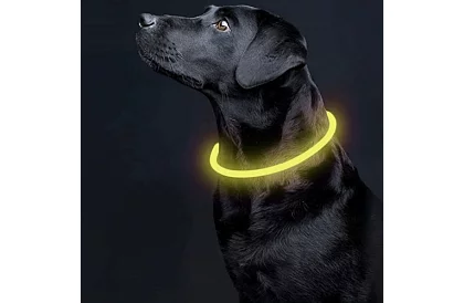 Világító LED nyakörv USB töltéssel és állítható hosszúsággal