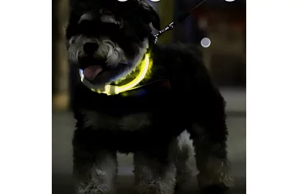 Világító LED nyakörv USB töltéssel és állítható hosszúsággal