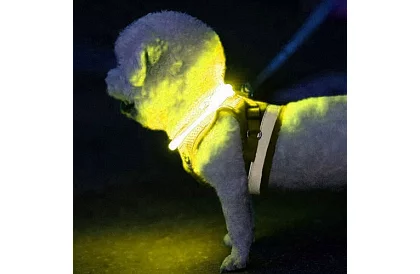 Világító LED nyakörv USB töltéssel és állítható hosszúsággal