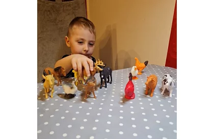 Háziasállatok – 12 figura