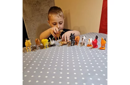 Háziasállatok – 12 figura