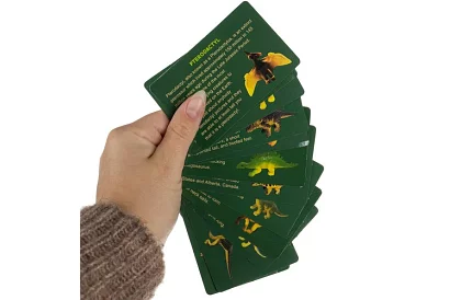 Dinoszaurusz tojás 12 darab - kis régész