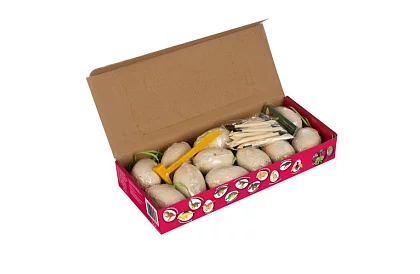 Dinoszaurusz tojás 12 darab - kis régész