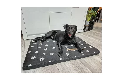 Vízálló kutyafekhely - matrac 100x70 cm