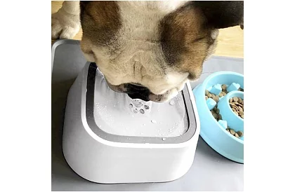 Vízsáló tál + utazó tál szettben