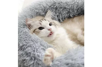 Luxusos kutya-, macska- és nyúlágy - 60 cm