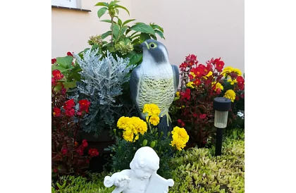 Madárriasztó – valósághű sólyom