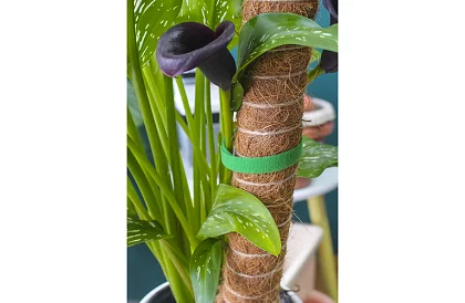 Kertészeti tépőszalag – növények rögzítésére 500 cm