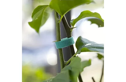 Kertészeti tépőszalag – növények rögzítésére 500 cm