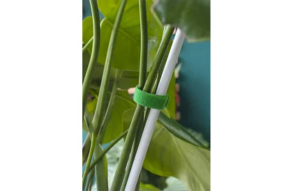 Kertészeti tépőszalag – növények rögzítésére 500 cm