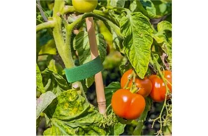 Kertészeti tépőszalag – növények rögzítésére 500 cm