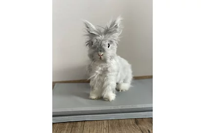 Hűtőgél párna - 90 x 50 cm