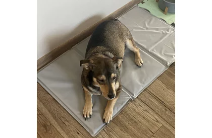 Hűtőgél párna - 90 x 50 cm