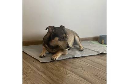 Hűtőgél párna - 90 x 50 cm