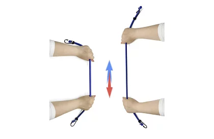 Rögzítő hevederek kampókkal – 12 db a készletben