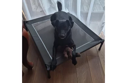 Felemelő fedett kutyafekhely