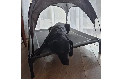 Felemelő fedett kutyafekhely