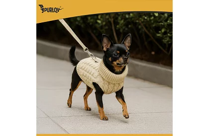 Kutyák meleg pulóver, macska – S méret – bézs