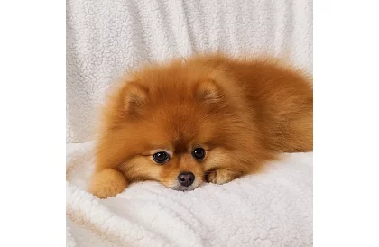 Kétoldalas meleg takaró 150 x 200 cm – sötétszürke