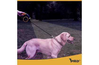 Flexi póráz kutyáknak LED lámpával - 5 m - 10 - 25 kg