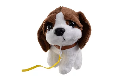 Kis orvosi készlet – kis állatorvos