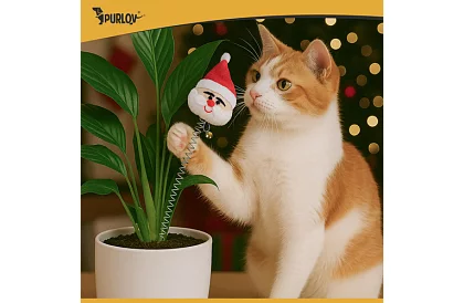 Macskajáték készlet – 6 db