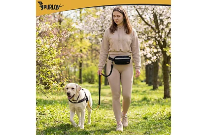 Futó övtáska kutyához + kiegészítők