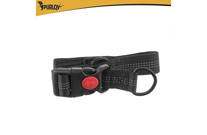 Futó övtáska kutyához + kiegészítők