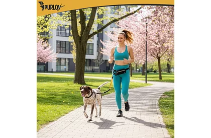 Futó övtáska kutyához + kiegészítők