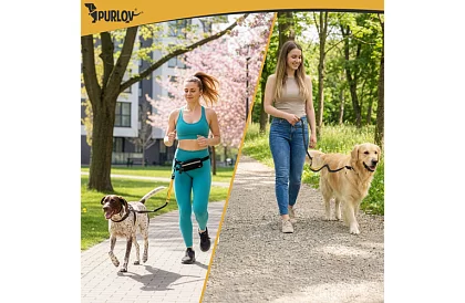 Futó övtáska kutyához + kiegészítők