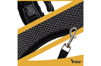 Nyomásmentes hám kutyáknak és macskáknak pórázzal – XS méret