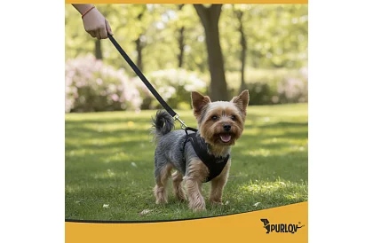 Nyomásmentes hám kutyáknak és macskáknak pórázzal – S méret