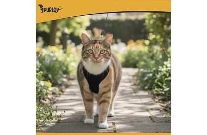 Nyomásmentes hám kutyáknak és macskáknak pórázzal – S méret