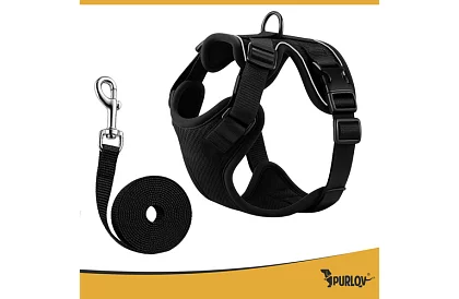 Nyomásmentes hám kutyáknak és macskáknak pórázzal – M-es méret