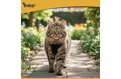 Nyomásmentes hám kutyáknak és macskáknak pórázzal – M-es méret