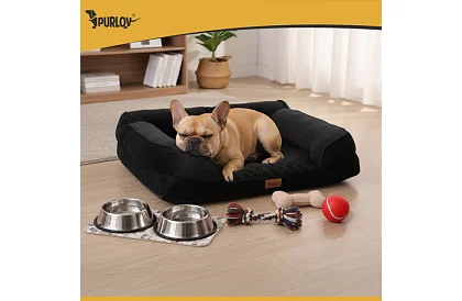 Ortopédiai fekhely 65 × 55 × 18 cm – S